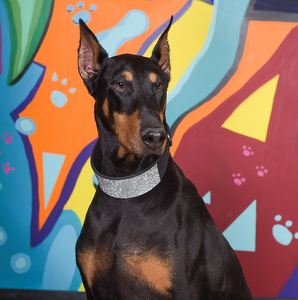 Fundraising Page: Pamela McClain